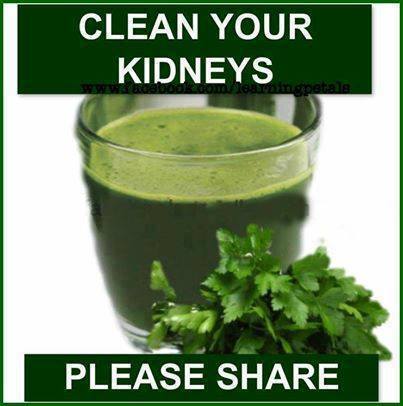 Miracle Kidney Cleanse